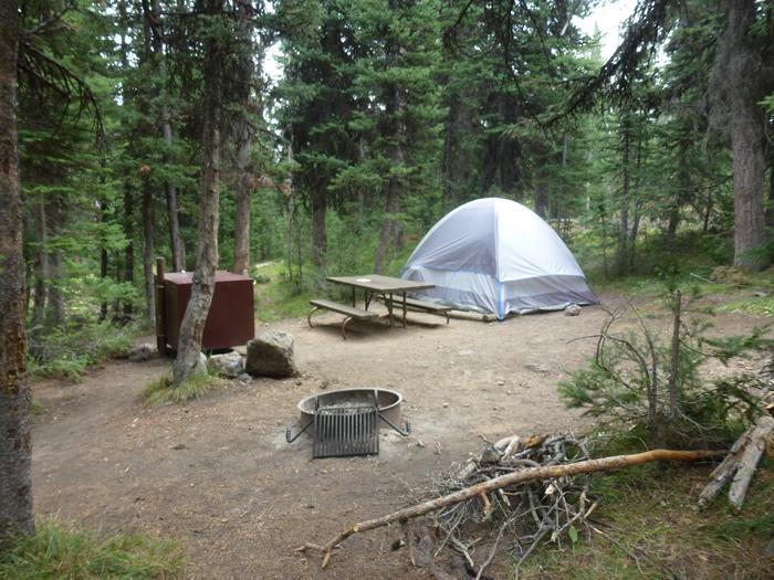 Lewis Lake site 65 with tent set upLewis Lake site 65