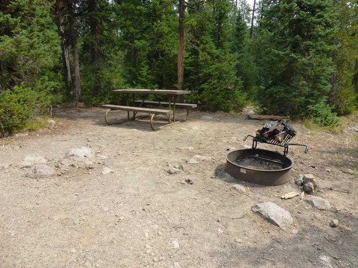 Lewis Lake site 71 picnic table and fire ringLewis Lake site 71
