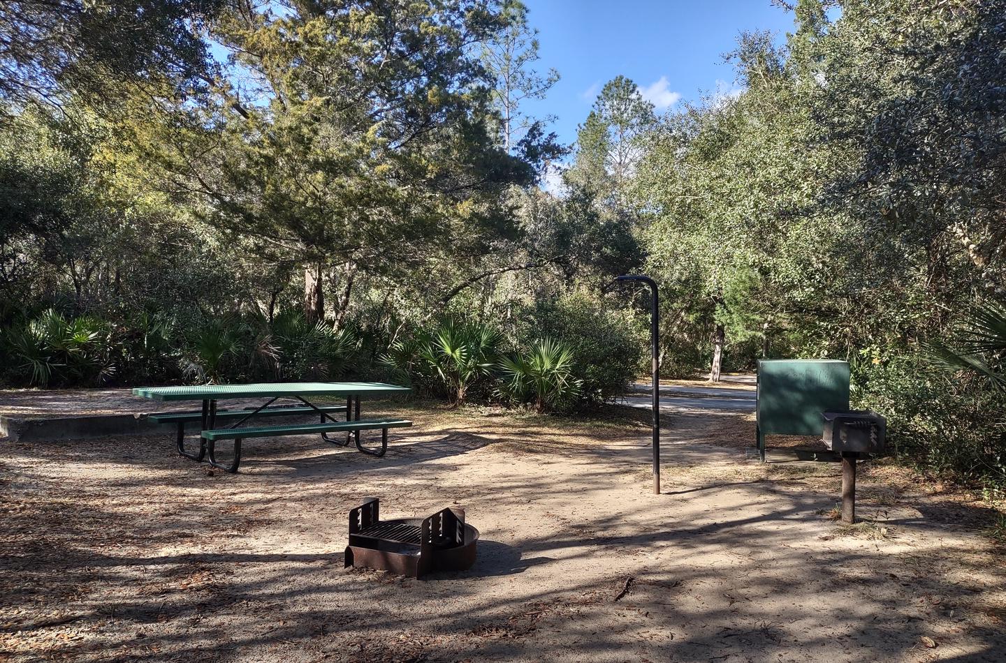Last view of site 46Amenities: picnic table, fire ring, grill, light pole, bear-proof storage locker