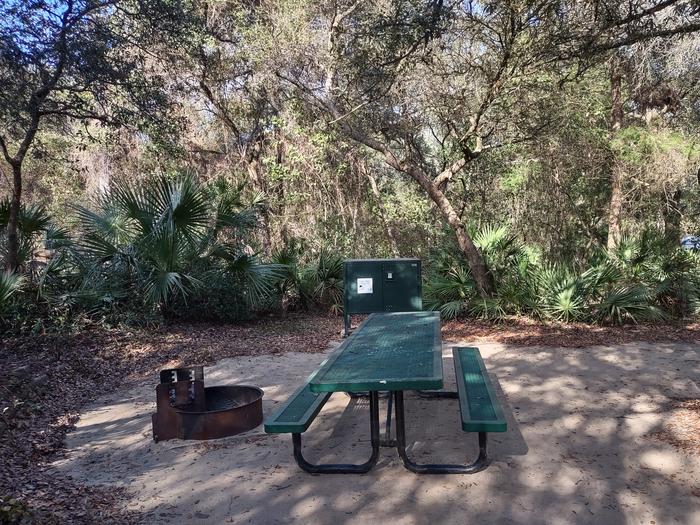 Site 47Amenities: picnic table, fire ring, grill, light pole, bear-proof storage locker