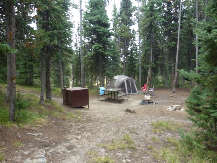Lewis Lake site 14 with bear box, picnic table, and tent.Lewis Lake site 14