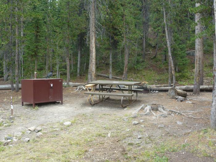 Lewis Lake site 17 bear box and picnic table. Lewis Lake site 17