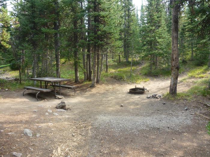 Lewis Lake site 23 picnic table and fire ring. Lewis Lake site 23