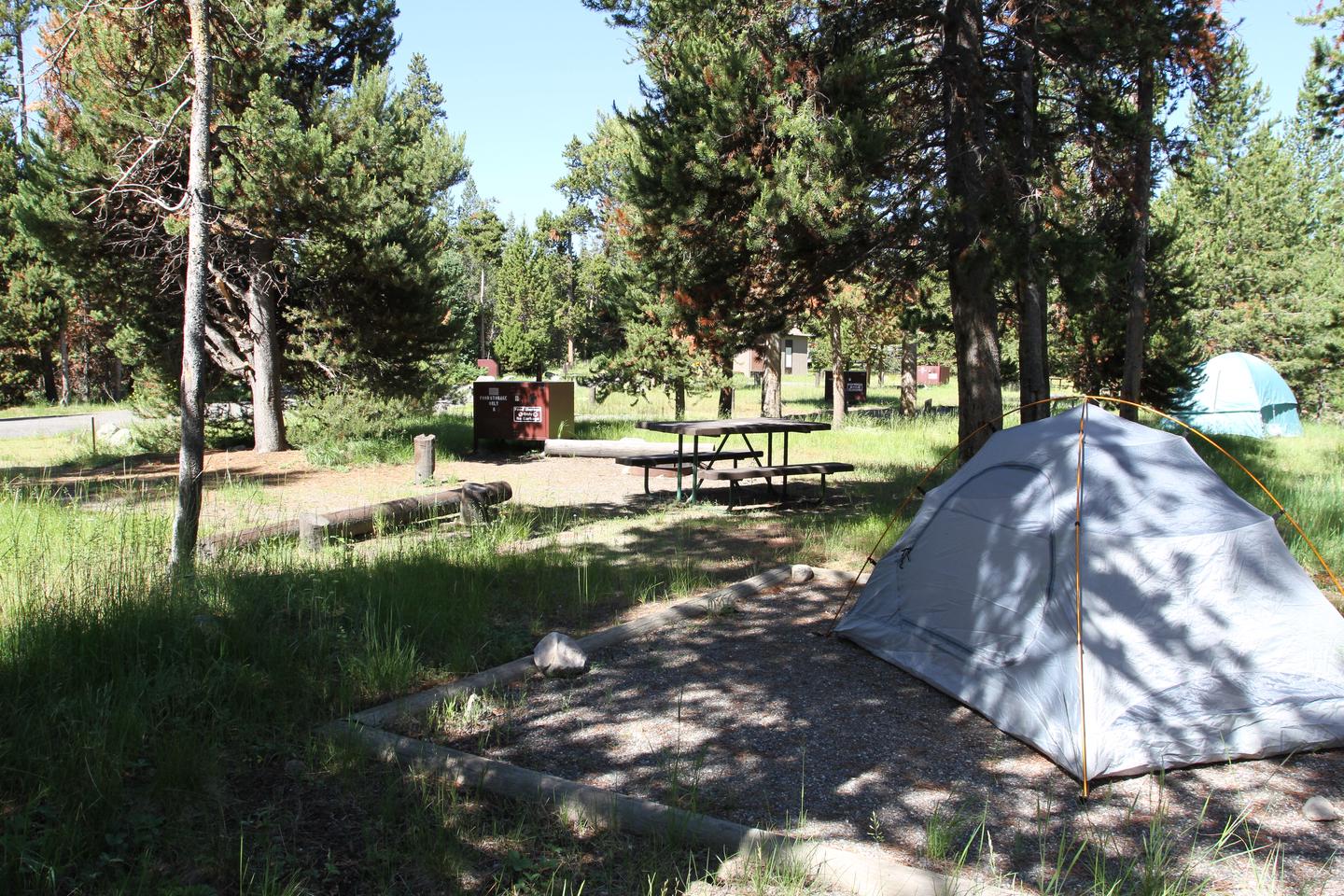 Indian Creek Campground site #6 with tent, picnic table, and bear box.Indian Creek Campground site #6