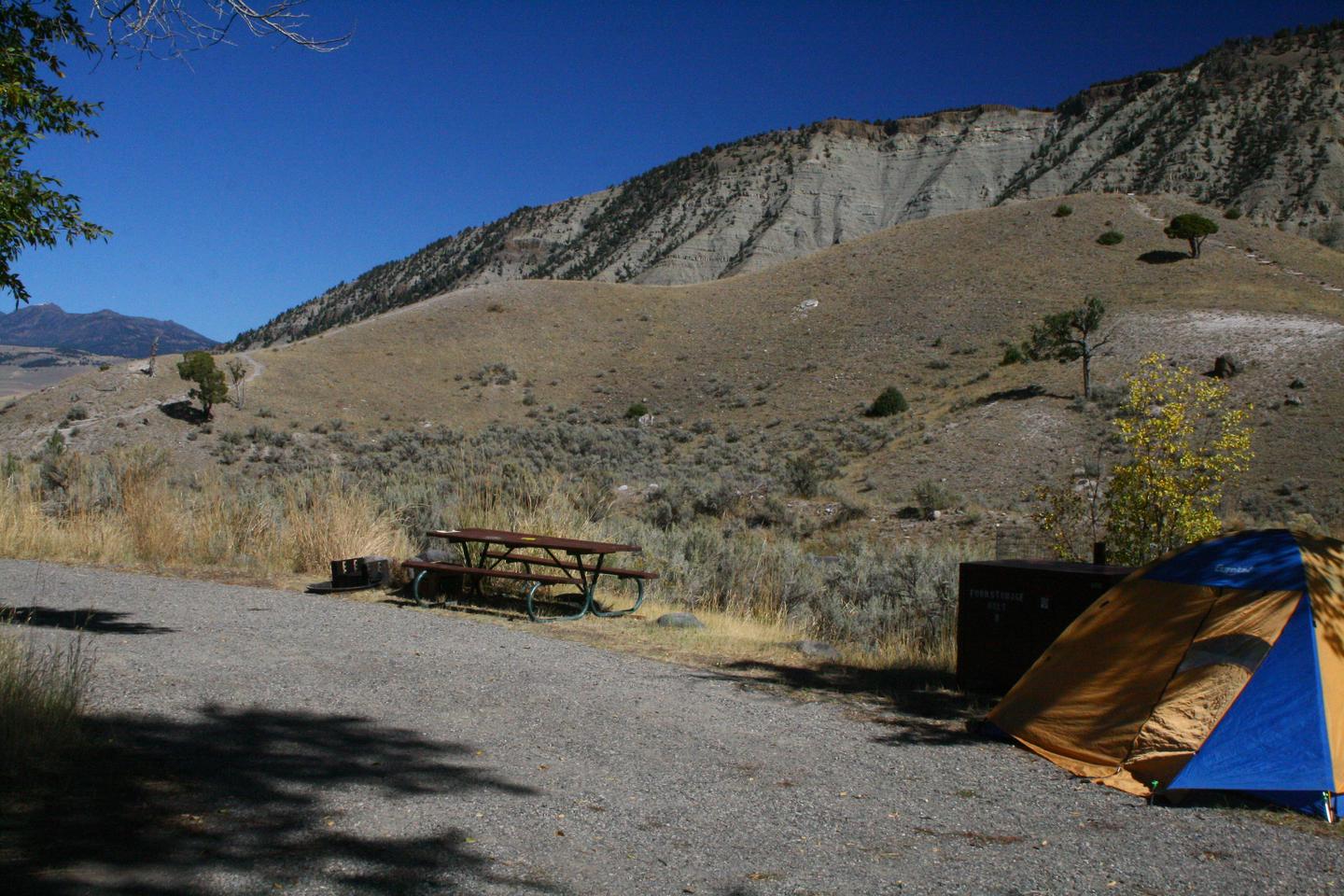 Mammoth Campground site #8
