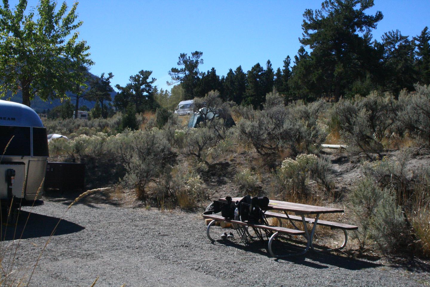 Mammoth Campground site #9