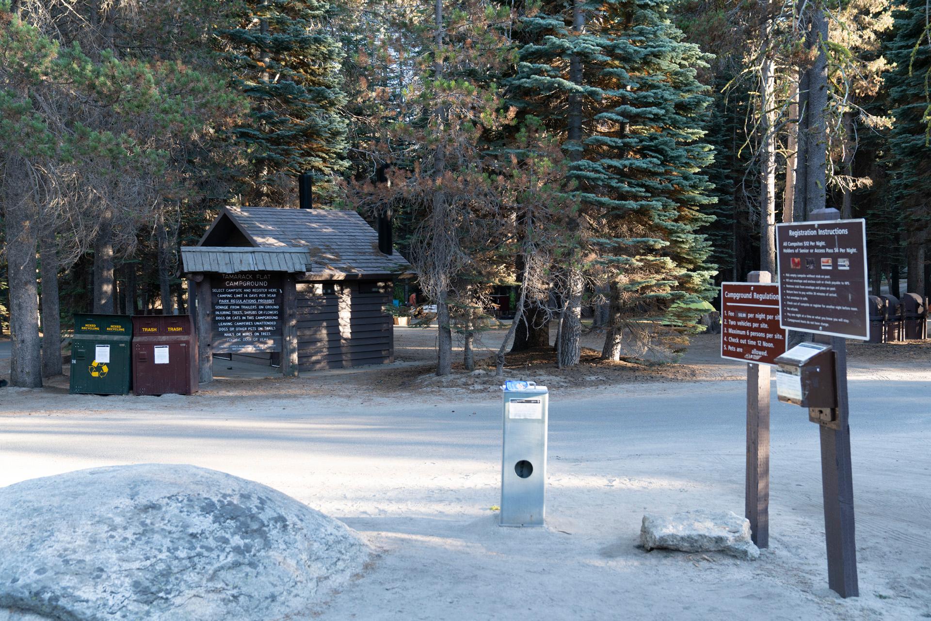 Tamarack Flat Campground