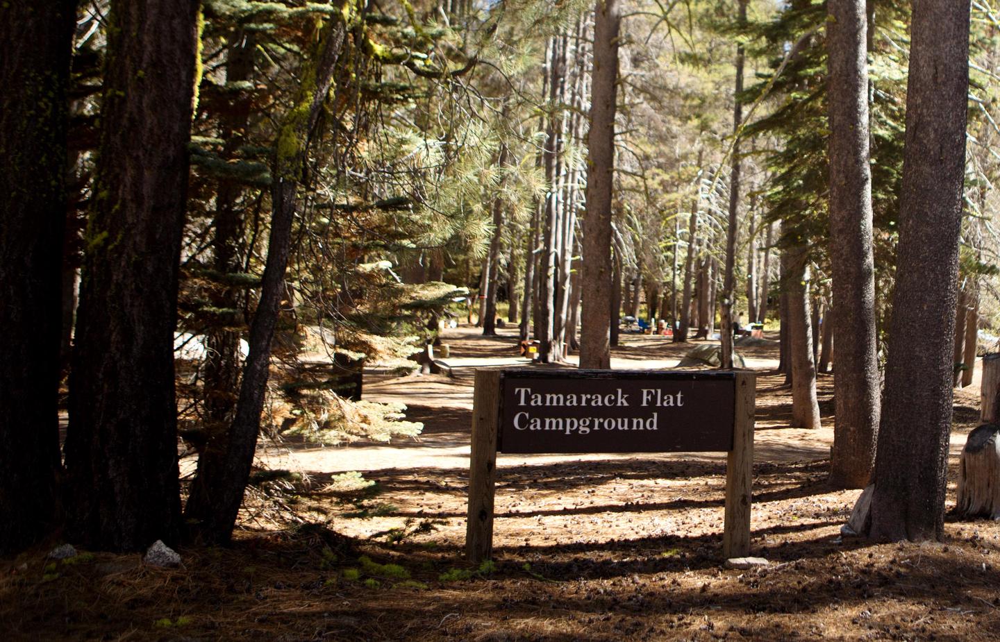 Tamarack Flat Campground SignThe entrance to Tamarack Flat Campground