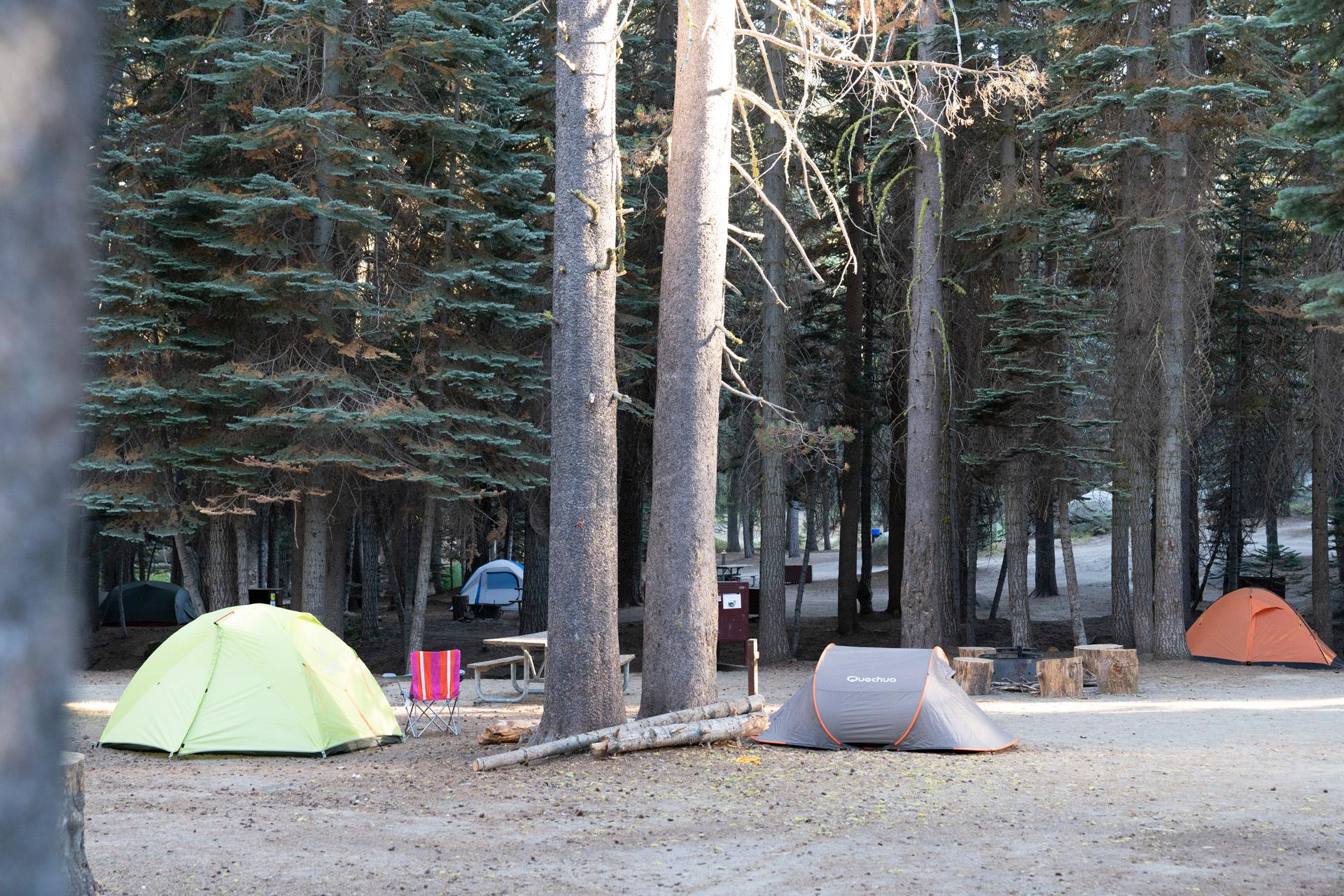 Tamarack Flat Campground