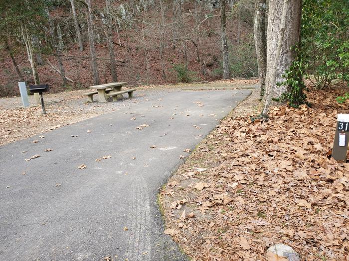 Paved site surrounded by trees and leaves with a picnic table Campsite 31