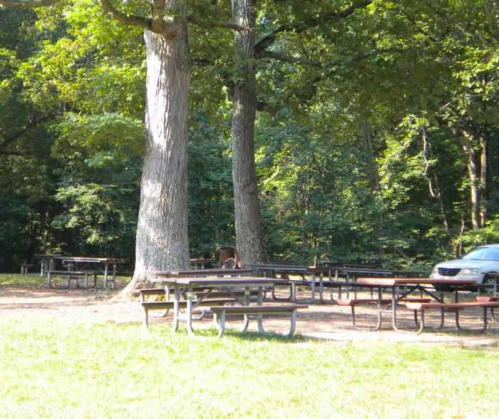 Picnic tables under the tall trees with a car in the parking lot just behind the tables.Tables of Area A, located next to the parking lot.  