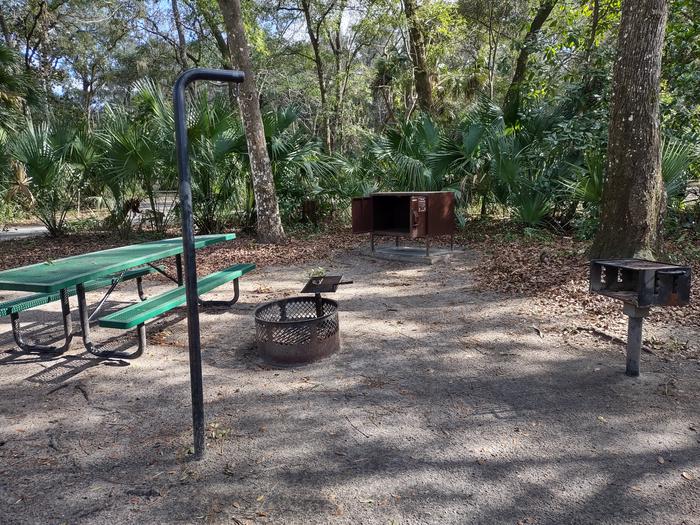 Another view of site 17Amenities: picnic table, grill, fire ring, light pole, bear-proof storage locker