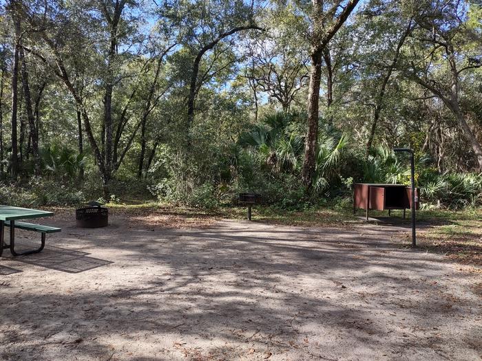 View of site 29Amenities: picnic table, grill,  fire ring, light pole, bear-proof storage locker
