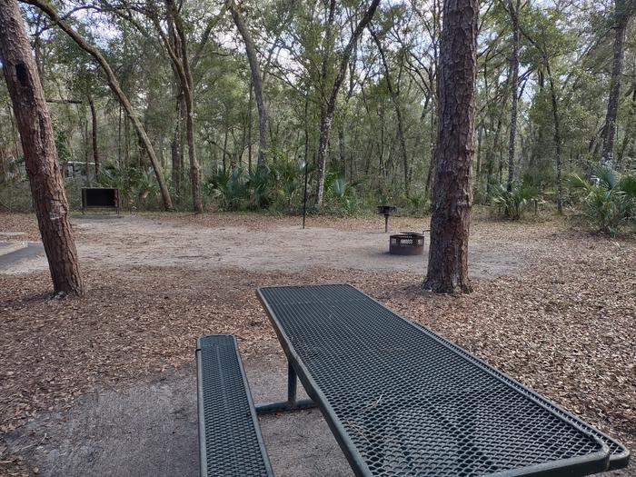 View of site 48Amenities: picnic table, grill,  fire ring, light pole, bear-proof storage locker