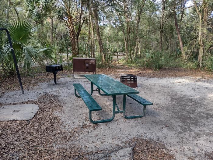 View of site 34Amenities: picnic table, grill,  fire ring, light pole, bear-proof storage locker