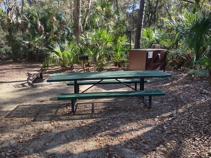 View of site 11Amenities: picnic table, grill,  fire ring, light pole, bear-proof storage locker