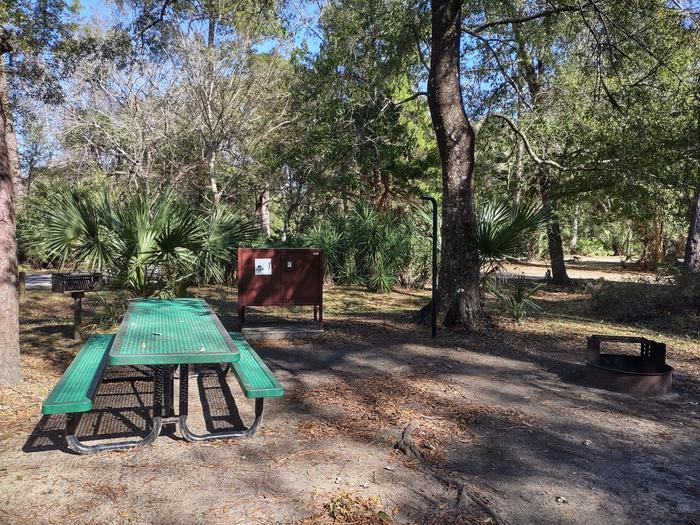View of site 19Amenities: picnic table, grill,  fire ring, light pole, bear-proof storage locker