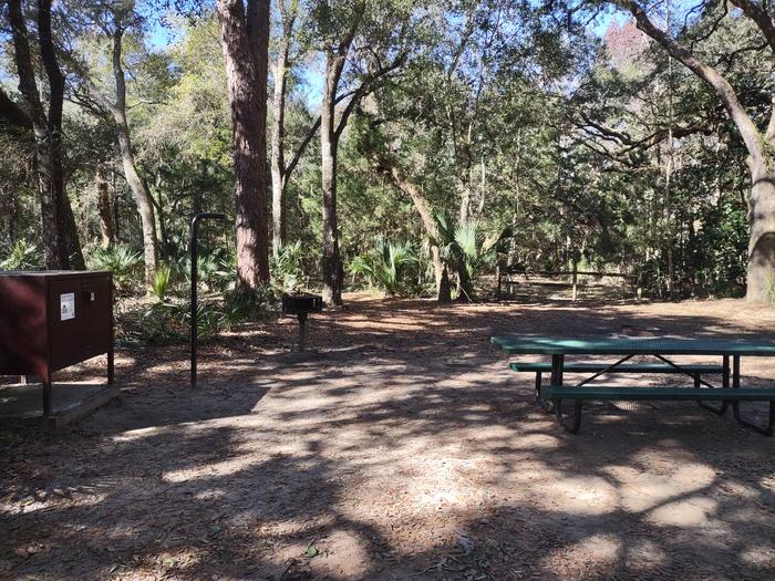 View of site 31Amenities: picnic table, grill, fire ring, light pole, bear-proof storage locker