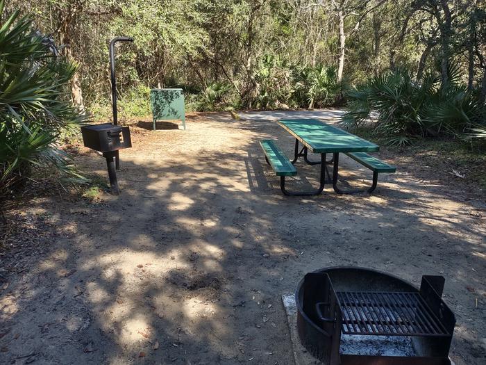 View of site 39Amenities: picnic table, fire ring, grill, light pole, bear-proof storage container