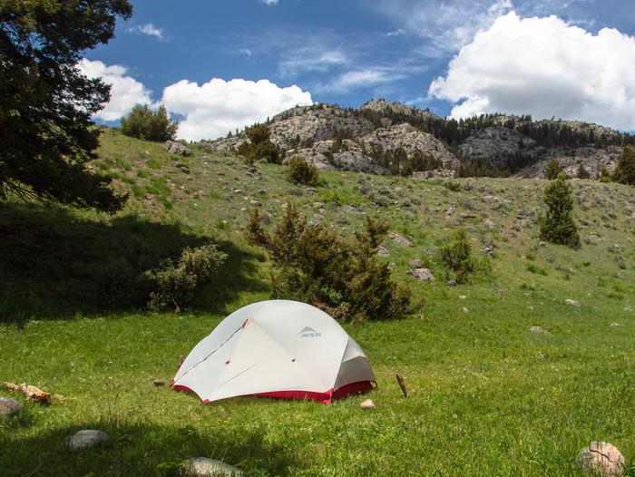 Small tent in a grassy meadow with a mountain in the background.Backcountry campsite on Hellroaring Creek