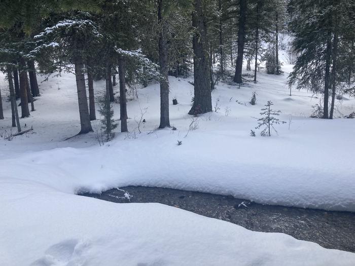Creek in the winterDouglas Cr. in the winter - 100 ft from cabin