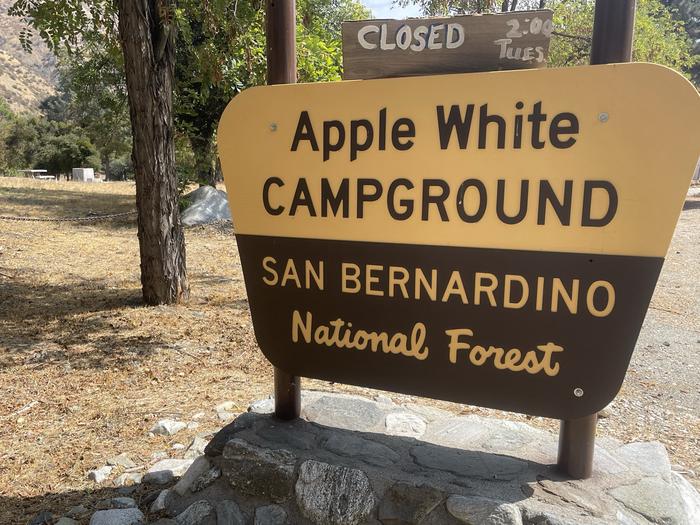 Applewhite Campground - SBNF