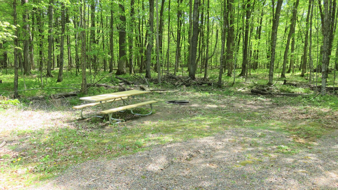 Picnic table and fire ring for Site S76View of picnic table and fire ring for Site Sk76