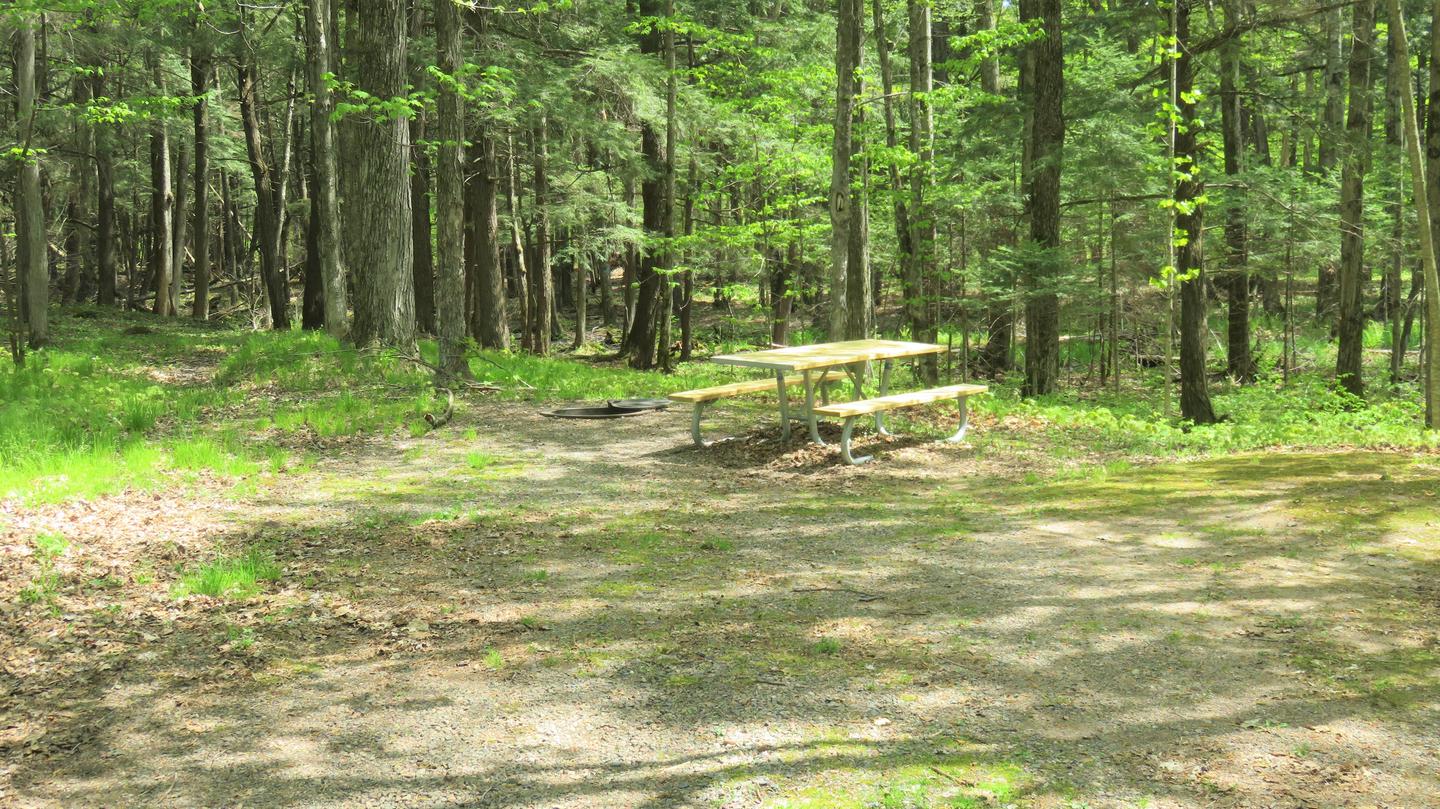 Picnic table and fire ring for Chippewa Site S78View of picnic table and fire ring for Chippewa Site S78