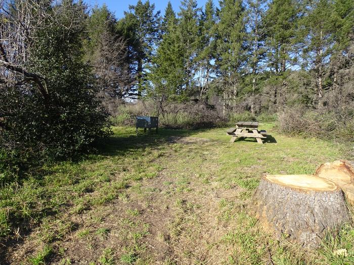 Campsite with picnic table, and food storage locker.Sky 8