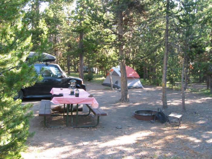 Indian Creek Campsite with picnic table, fire ring, vehicle, and tent. 