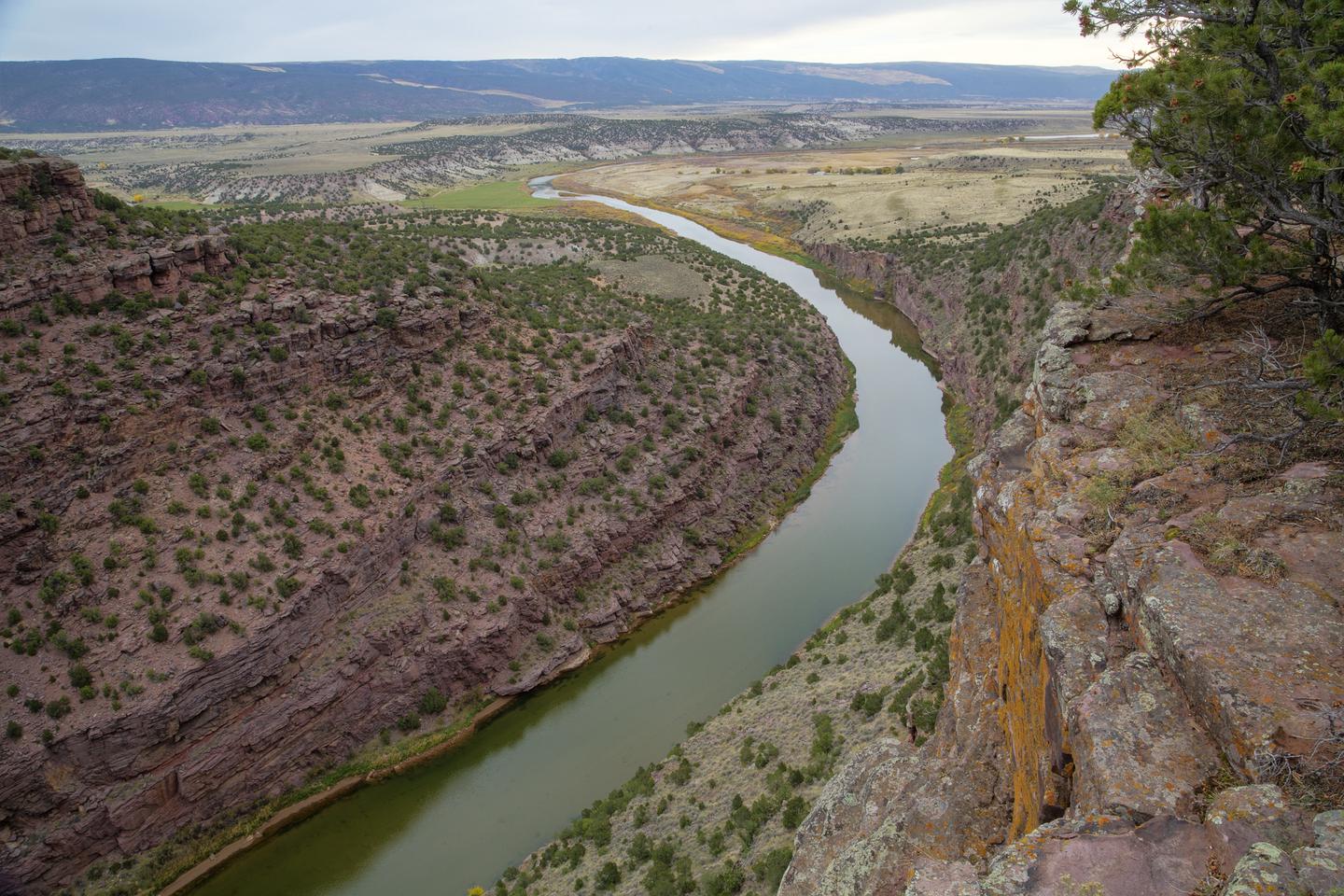 Aerial shot of the Green River 