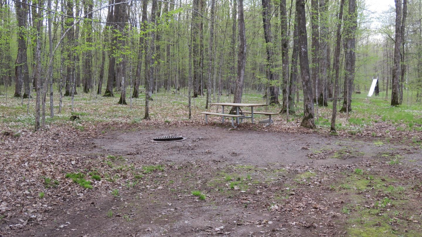 View of picnic table and fire ring for Site S22