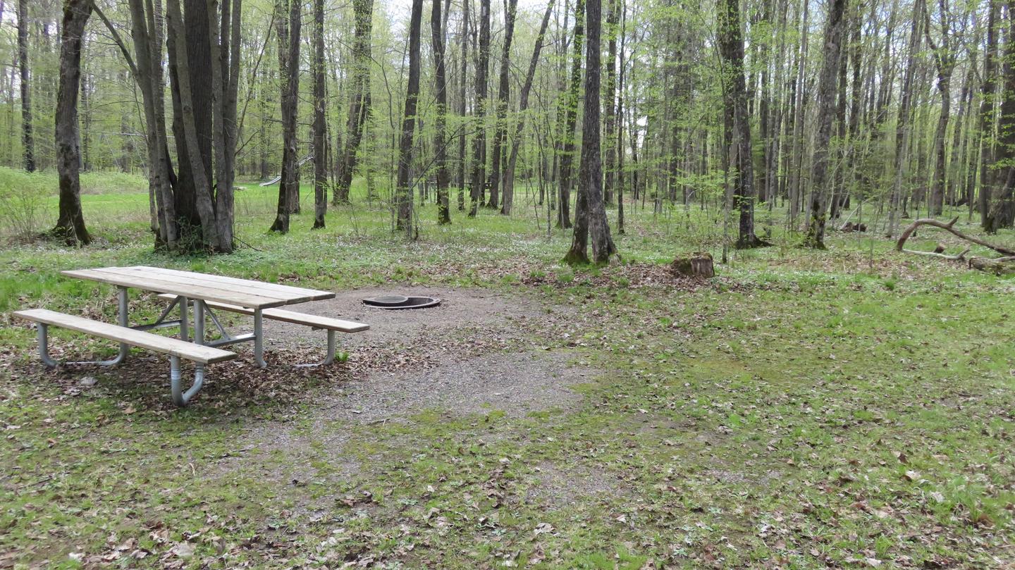 View of picnic table and fire ring for Site S21