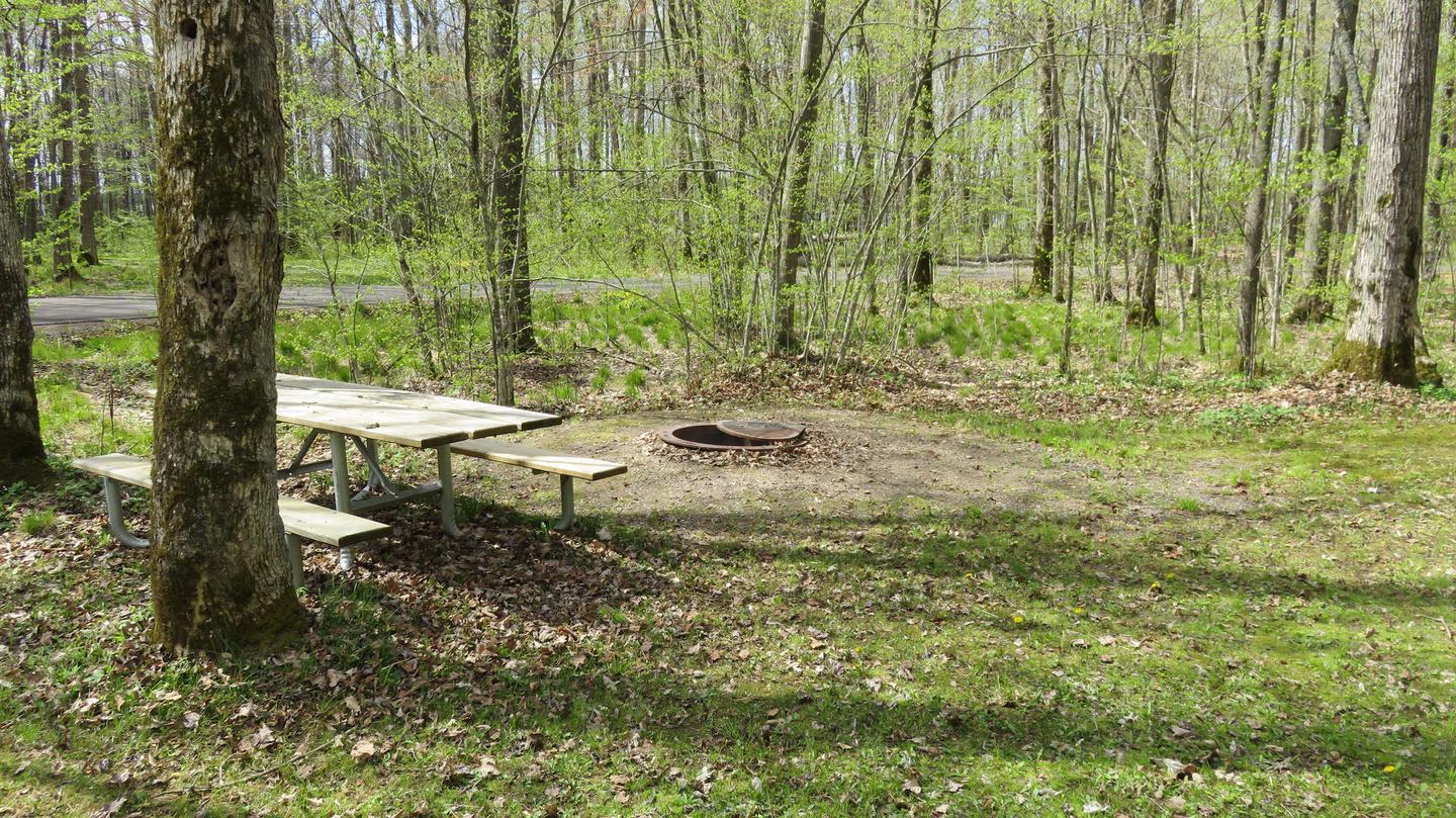 Picnic table and fire ring for Site S20View of picnic table and fire ring for Site S20