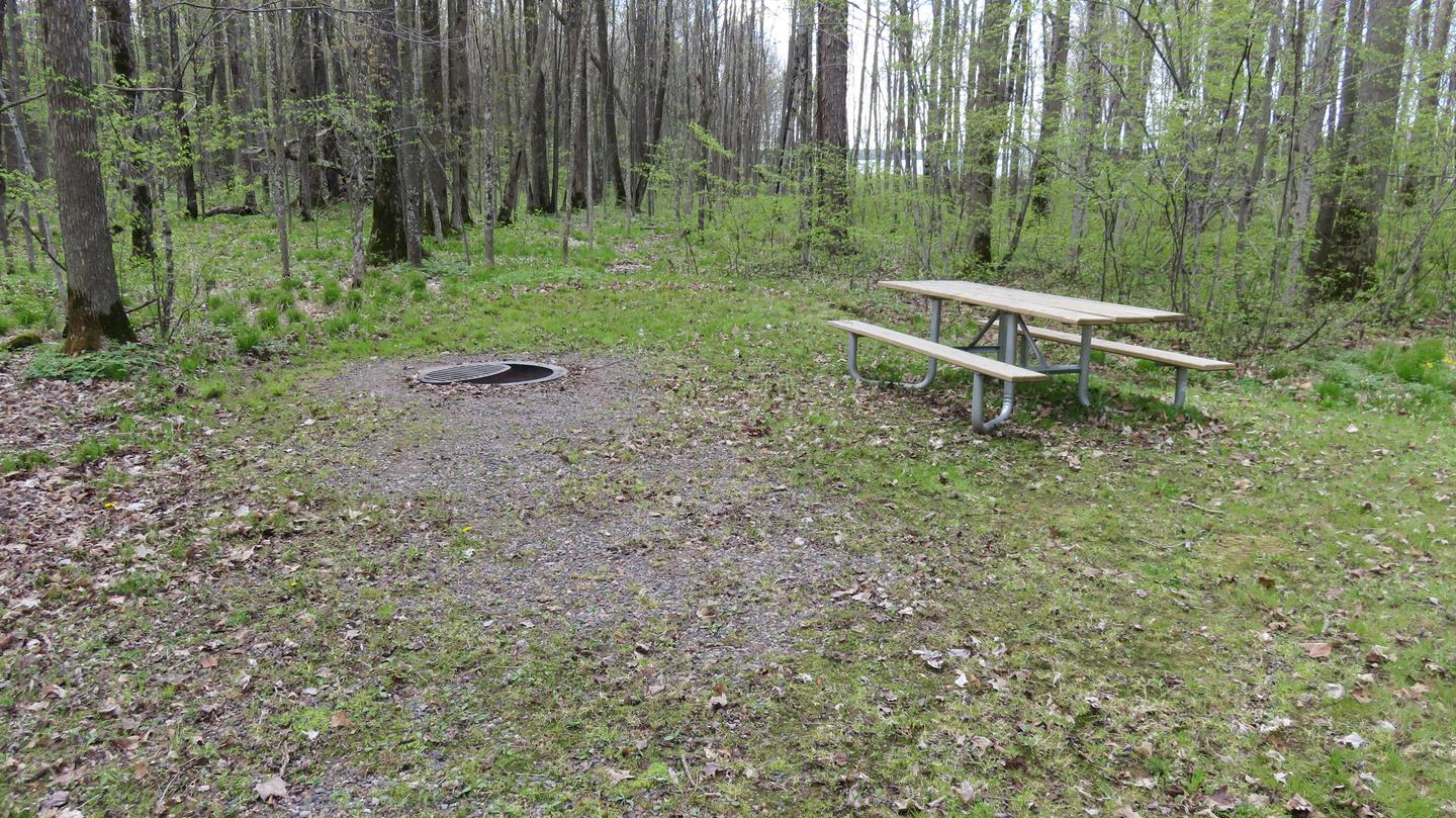 Picnic table and fire ring for Site S19View of picnic table and fire ring for Site S19
