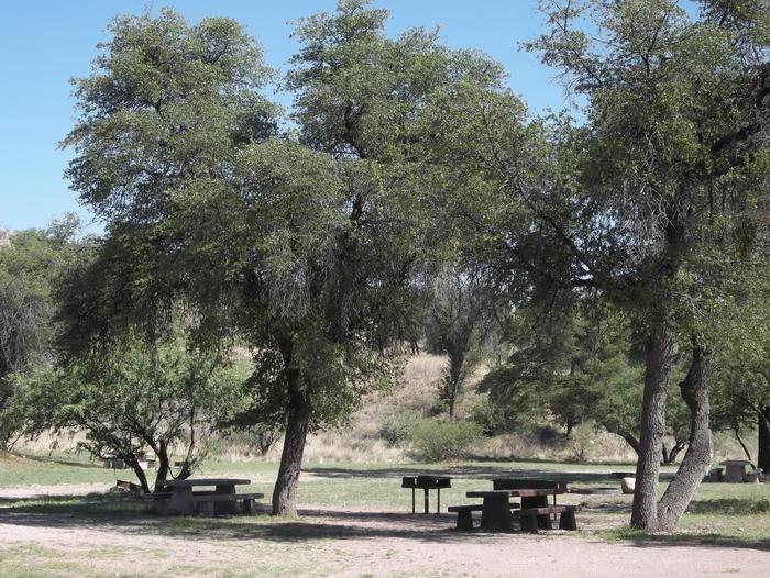Shaded picnic tables and grills are scattered around this large group site.Shaded picnic tables and grills.