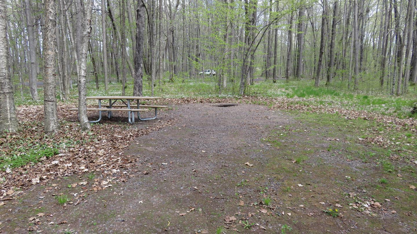 Picnic table and fire ring for Site S17View of picnic table and fire ring for Site S17