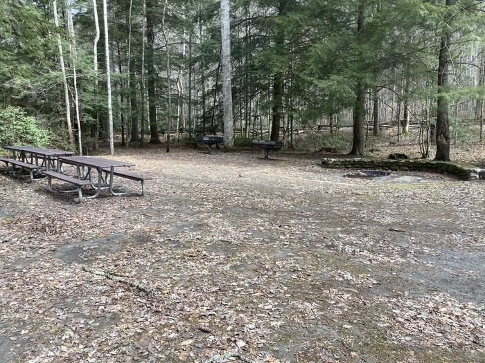Rattler Ford Campsite 2 Picnic Tables