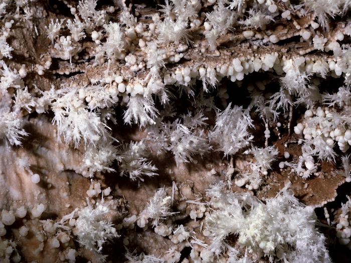 White mineral cave formations on pinkish rock.Delicate cave popcorn and frostwork are seen on Fairgrounds tour.
