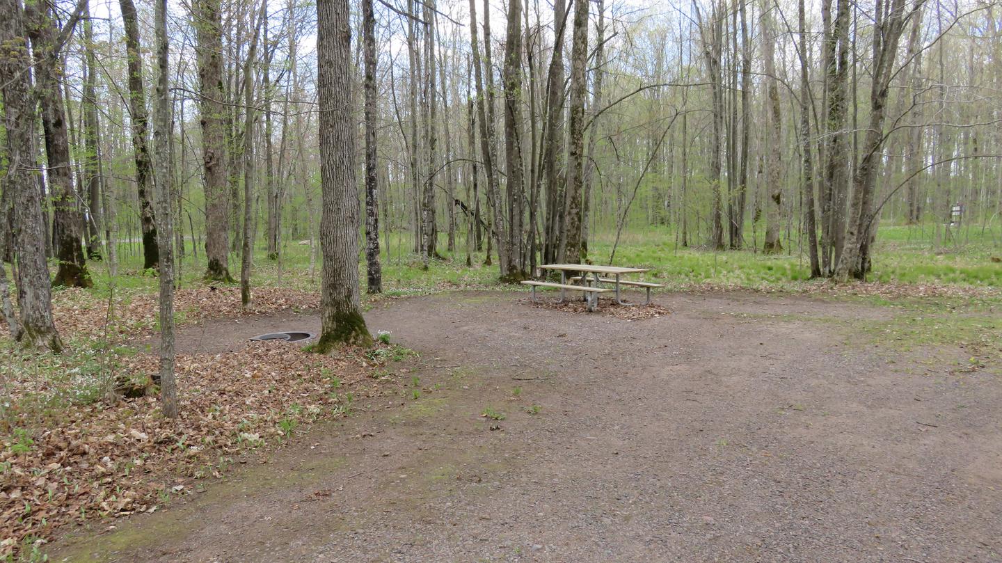 Picnic table and fire ring for Site S24