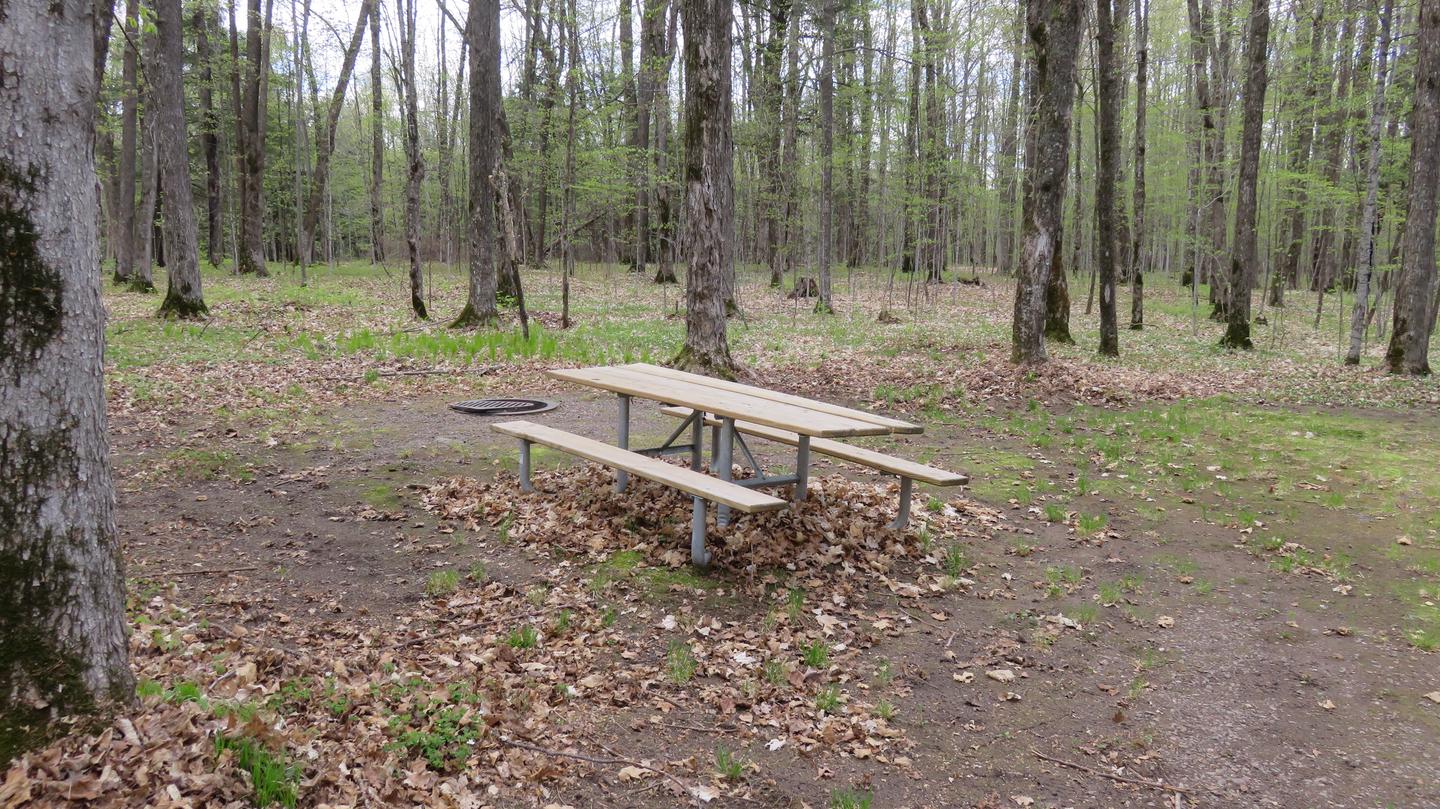 Picnic table and fire ring for Site S27