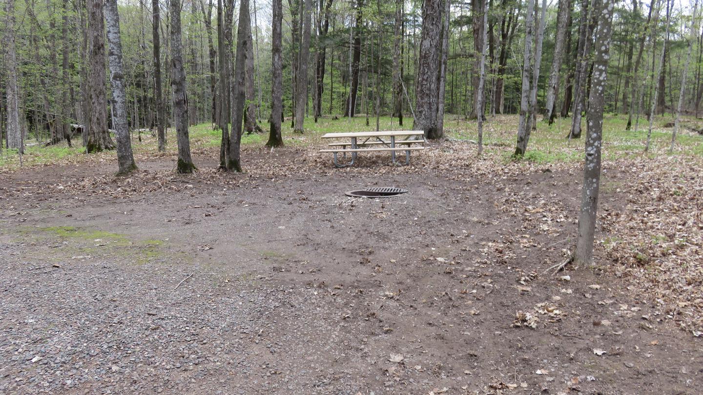 Picnic table and fire ring for Site S28