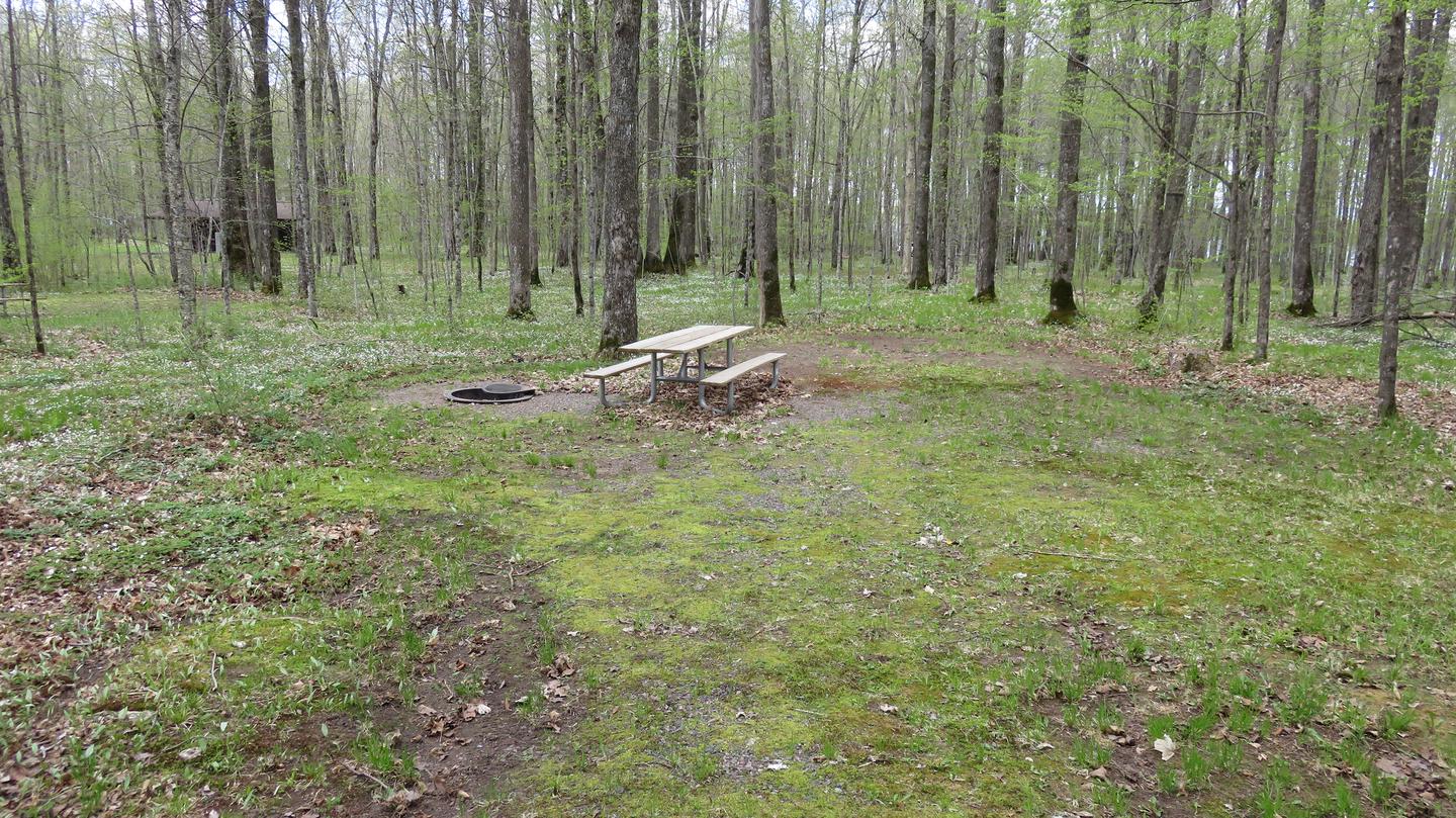 Picnic table and fire ring for Site S29
