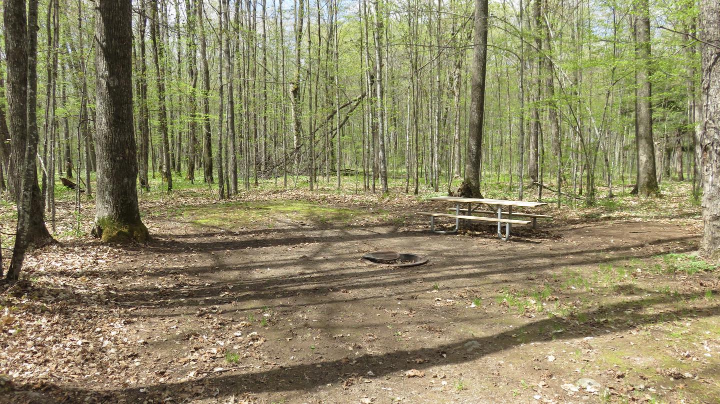 Picnic table and fire ring for Chippewa Site S30