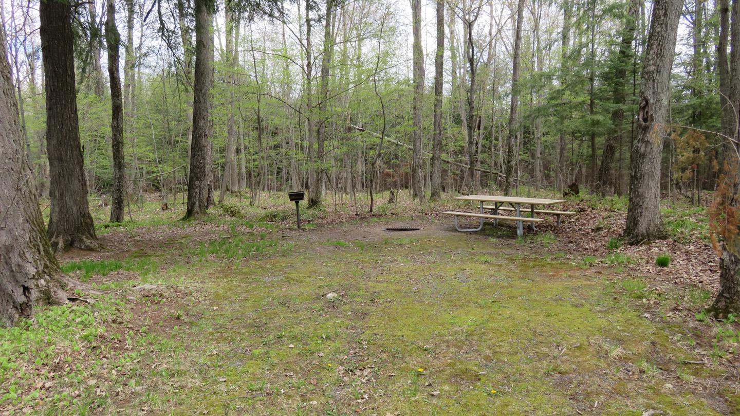 Picnic table and fire ring for Site S03