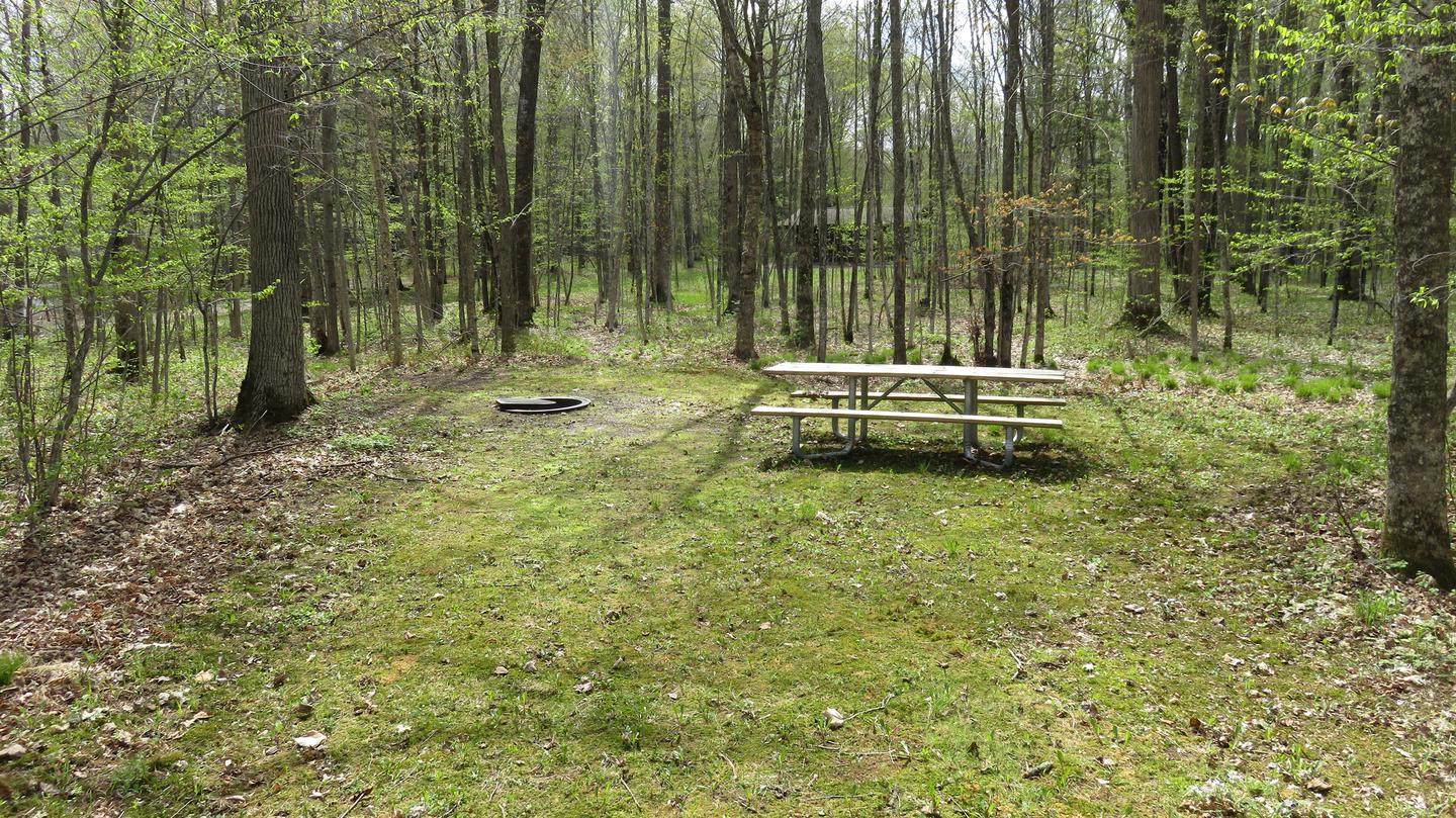 Picnic table and fire ring for Site S4