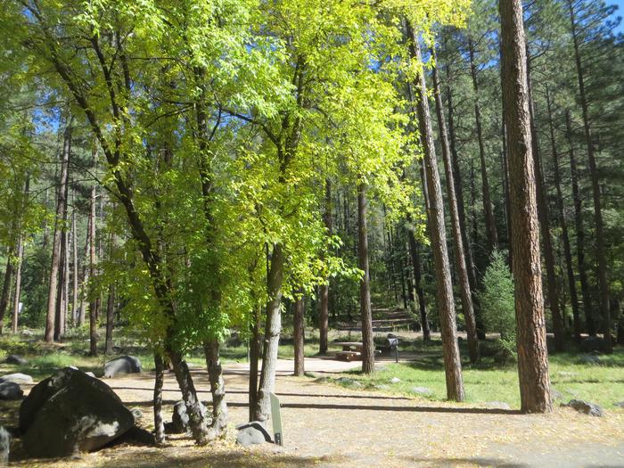 Pine Flat West Campground Site 1 Standard Non electric
