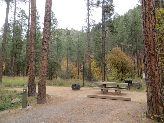 Pine Flat West Campground Site 8Standard non electric, Hwy 89A side 
