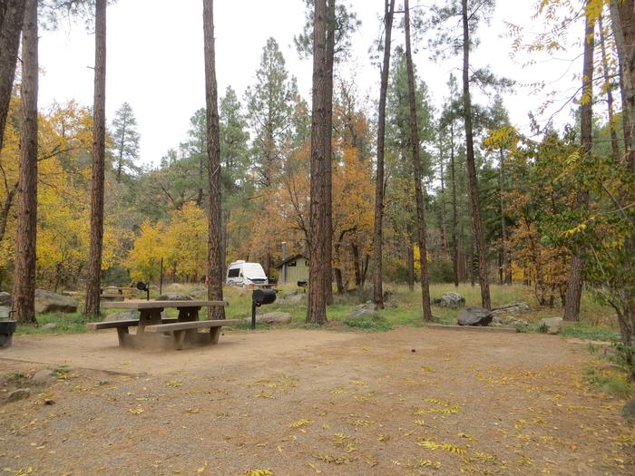 Pine Flat West Campground Site 9Standard non electric Hwy 89A side