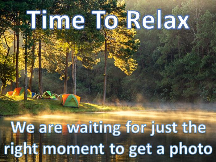 PlaceholderTime To Relax. We are waiting for just the right moment to get a photo.